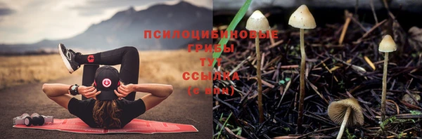 МДПВ Каменск-Шахтинский