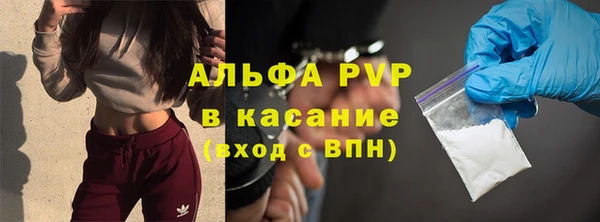 ECSTASY Каменногорск