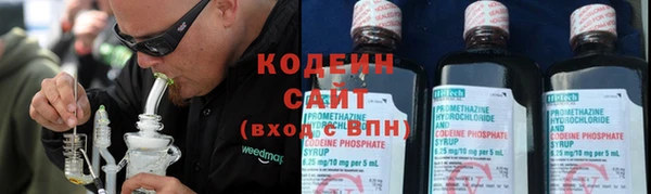 спайс Каменка