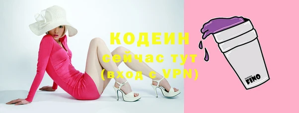 спайс Каменка