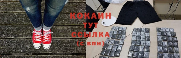 спайс Каменка
