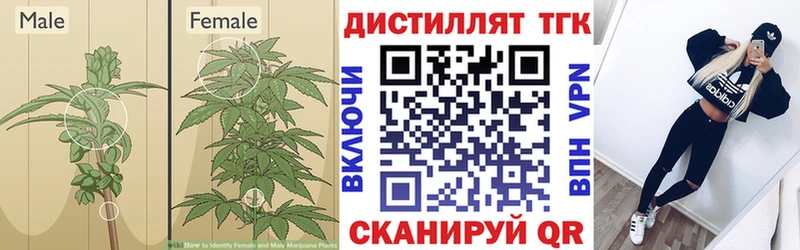 Дистиллят ТГК гашишное масло Городец