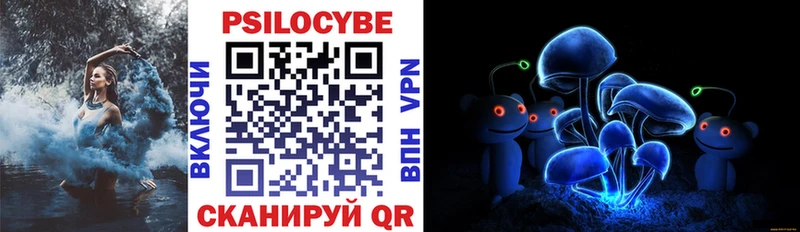 Псилоцибиновые грибы GOLDEN TEACHER  Купить закладки  Городец 